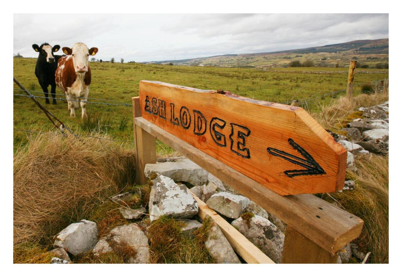 Ash Lodge Moytirra Esterno foto